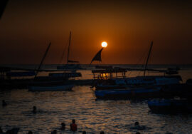 African Safari in Tanzania and Zanzibar