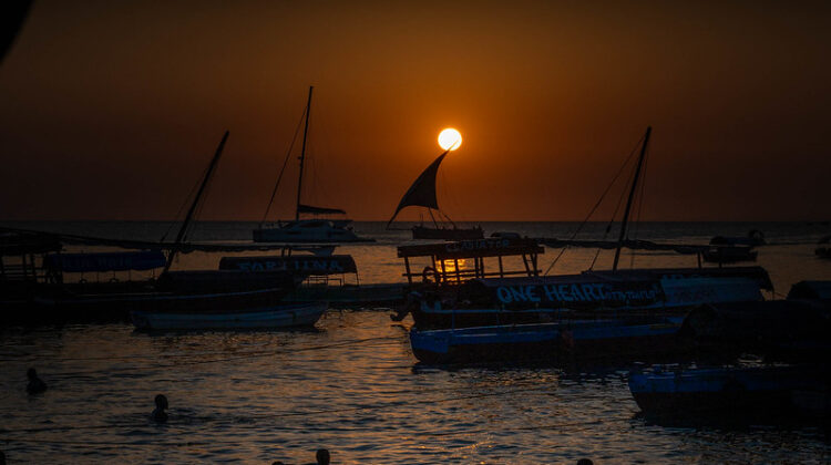 African Safari in Tanzania and Zanzibar