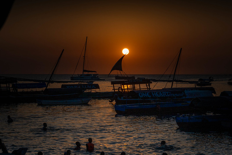 African Safari in Tanzania and Zanzibar