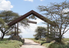 National Parks in Tanzania and Zanzibar Destinations