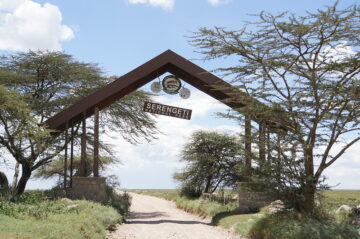 National Parks in Tanzania and Zanzibar Destinations