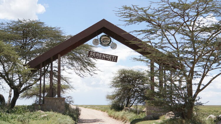 National Parks in Tanzania and Zanzibar Destinations