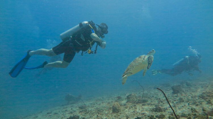 Things to Do in Tanzania and Zanzibar