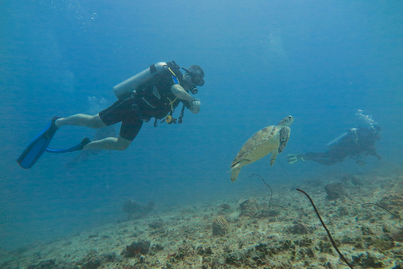 Things to Do in Tanzania and Zanzibar