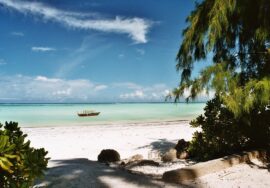 When Is the Best Time to Visit Zanzibar