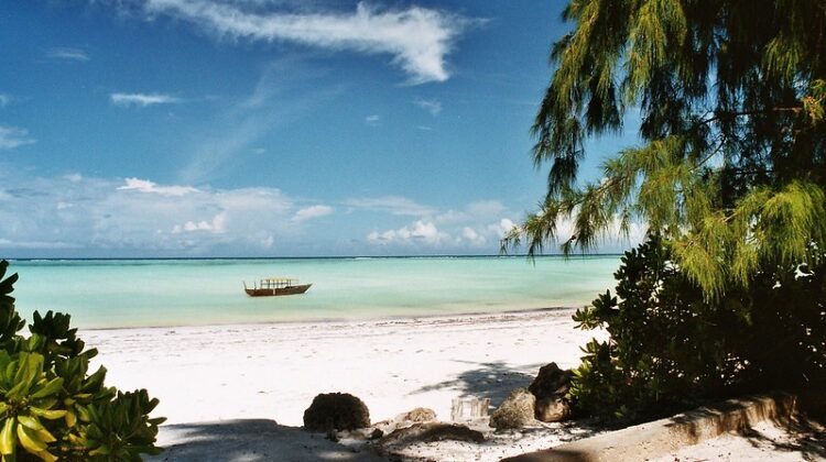 When Is the Best Time to Visit Zanzibar