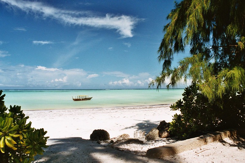 When Is the Best Time to Visit Zanzibar