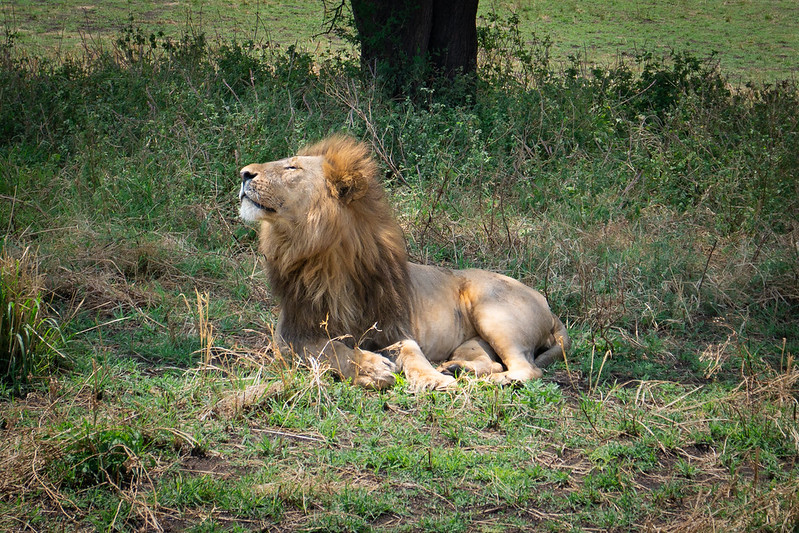 When is the Best Time to Visit Tanzania